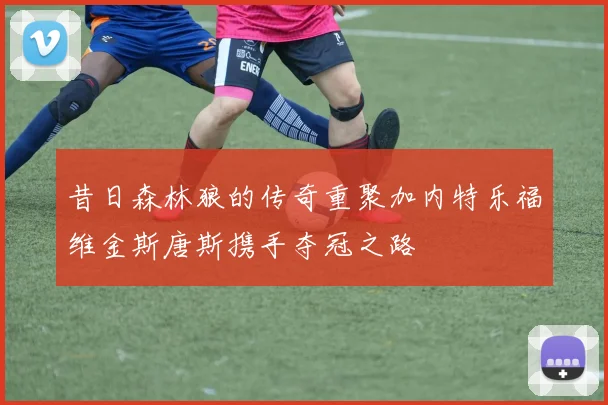 昔日森林狼的传奇重聚加内特乐福维金斯唐斯携手夺冠之路