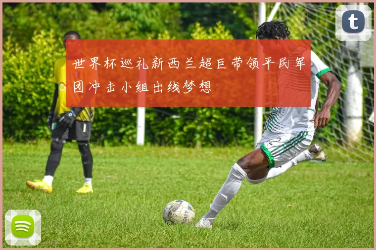 世界杯巡礼新西兰超巨带领平民军团冲击小组出线梦想