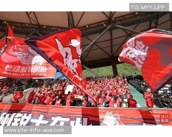 客场呐喊传递佛山力量助力球队坚定迈向保级之路